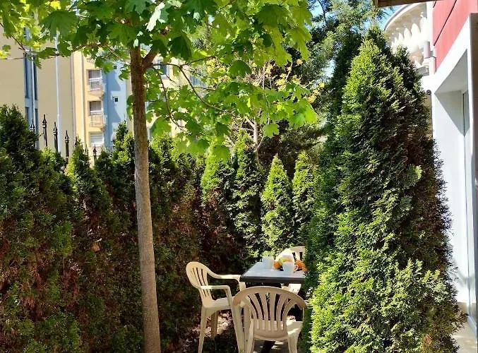 Messambria - Bastet Bs *